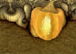 3DFractals/Pumpkin.jpg