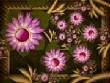 FractalFlowers/Pinkgoldfflowers.jpg