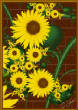 FractalFlowers/SunFlower.jpg