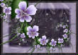 FractalFlowers/Violets.jpg