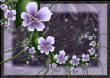 FractalFlowers/Violets.jpg