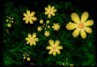 FractalFlowers/YellowFlowers.jpg