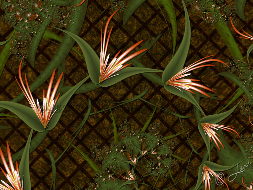 FractalFlowers/Birdofparadise.jpg