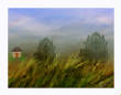 FractalLandscapes/Wildhouse....jpg