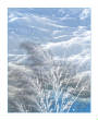 FractalLandscapes/Winter1.jpg